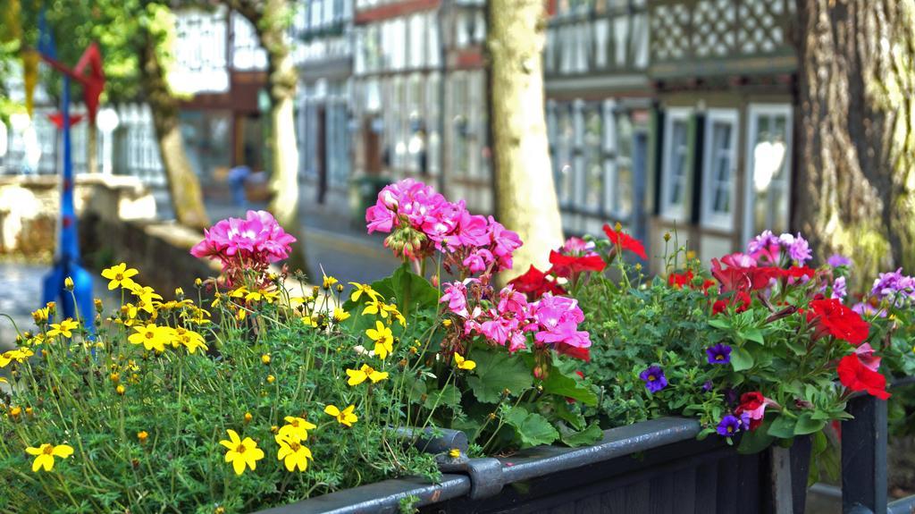 Hotel Kaiserhof Goslar Phòng bức ảnh